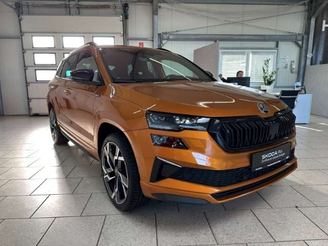 Fahrzeugbild eines Skoda Karoq