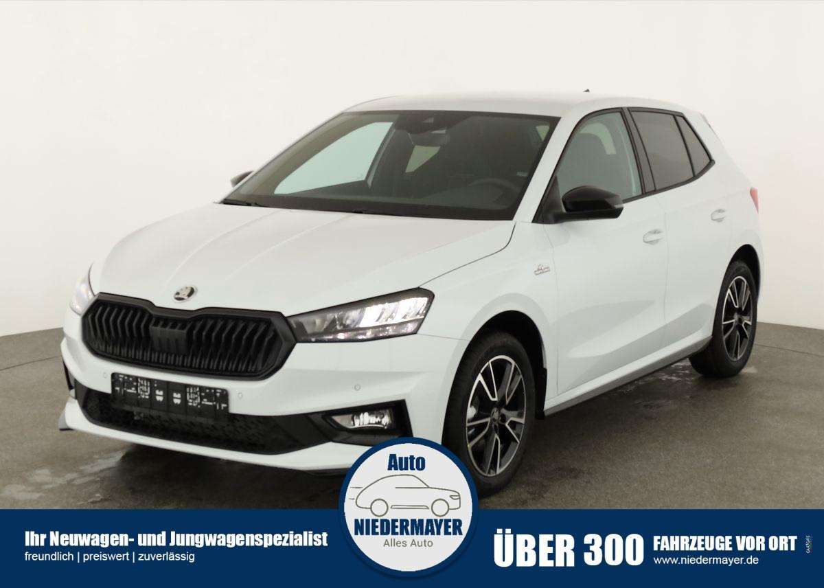 Fahrzeugbild eines Skoda Fabia