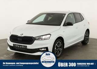Schräge Frontansicht auf einen Skoda Fabia , freigestellt