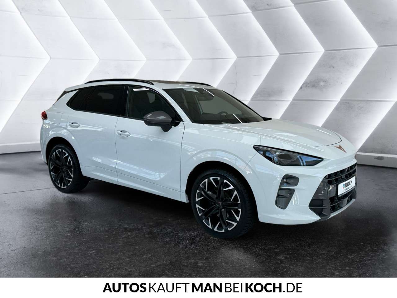 Fahrzeugbild eines CUPRA Terramar