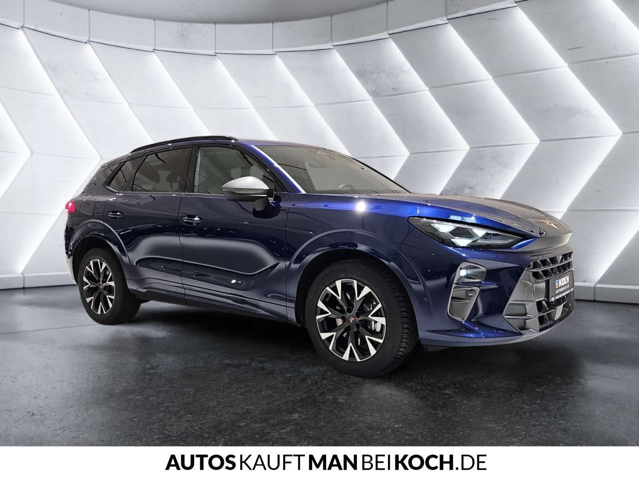 Fahrzeugbild eines CUPRA Terramar