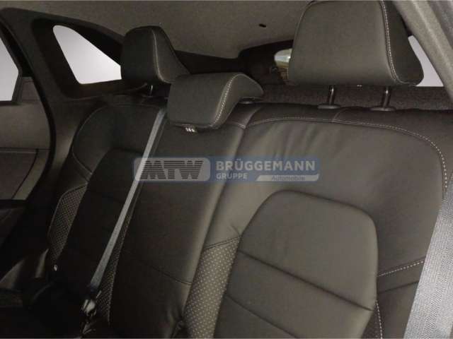 Fahrzeugbild eines Mitsubishi Grandis