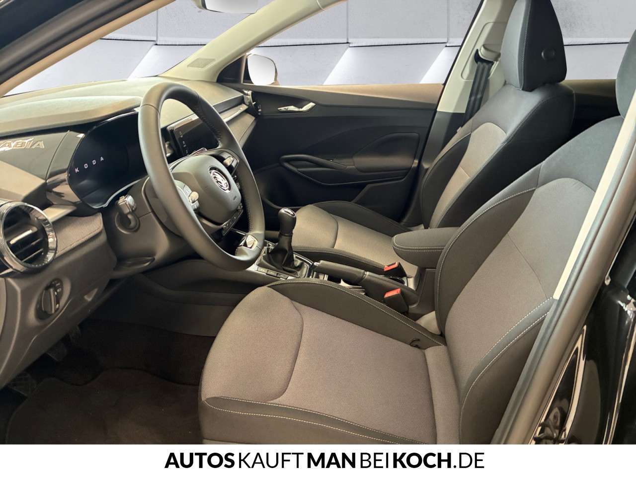 Fahrzeugbild eines Skoda Fabia