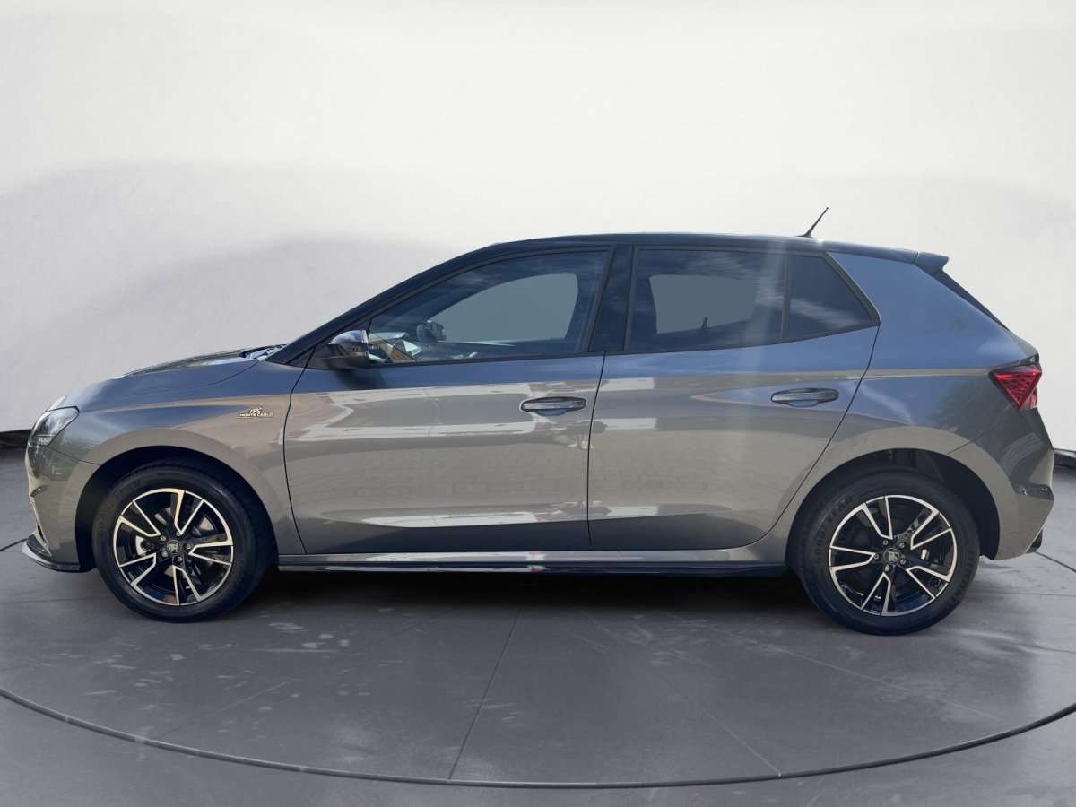 Fahrzeugbild eines Skoda Fabia