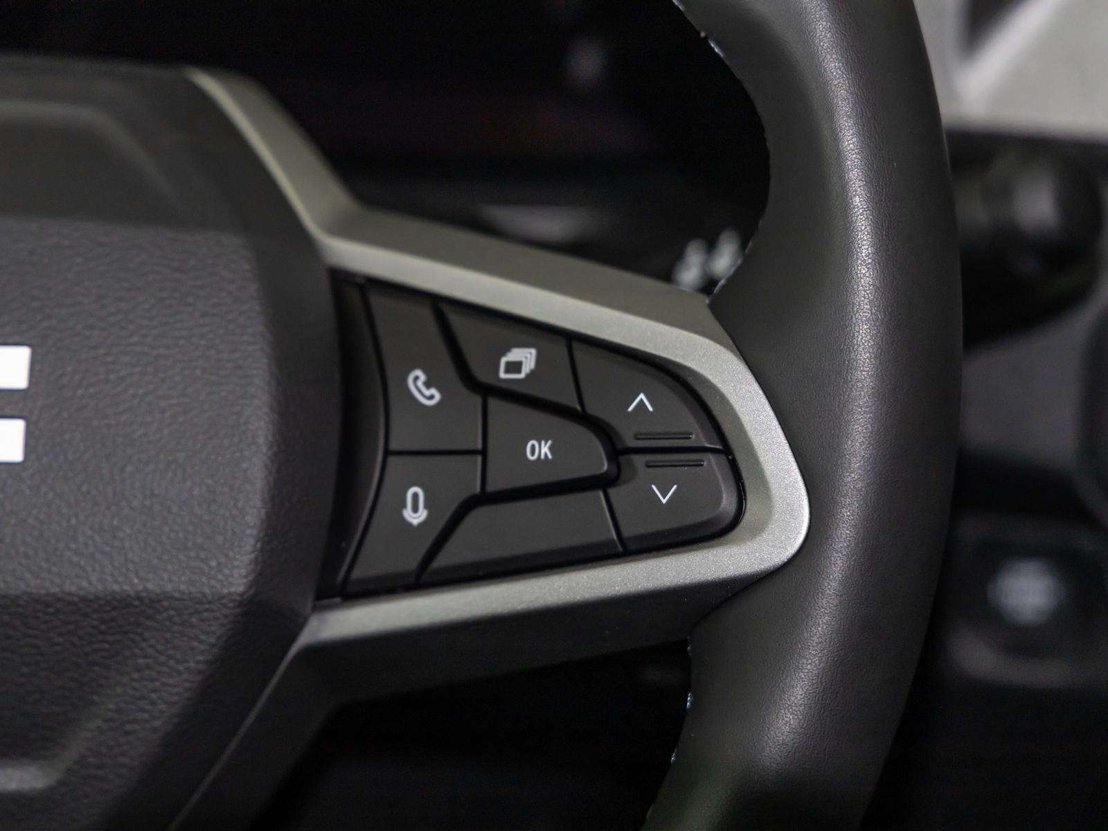 Fahrzeugbild eines Dacia Bigster