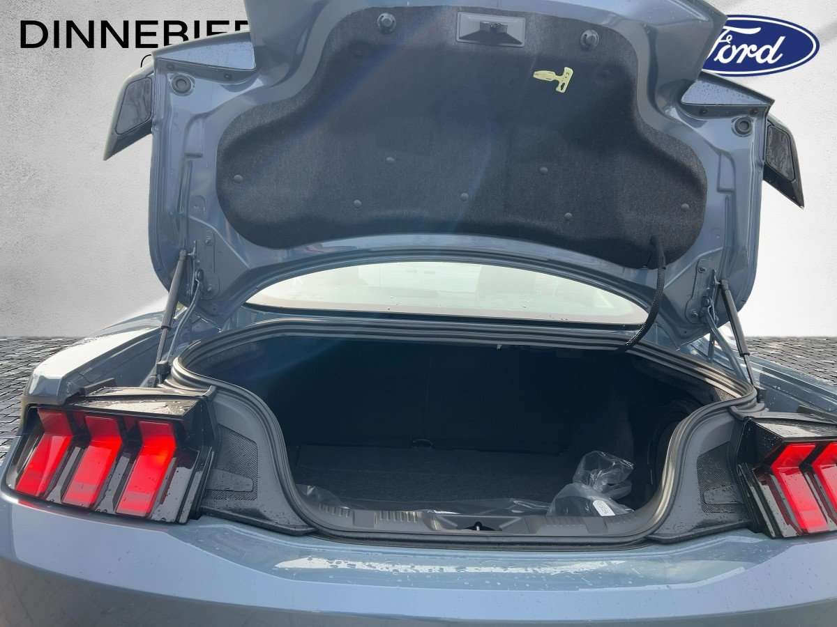 Fahrzeugbild eines Ford Mustang