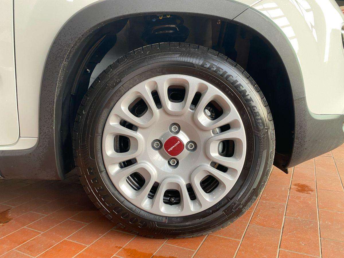 Fahrzeugbild eines Fiat Panda