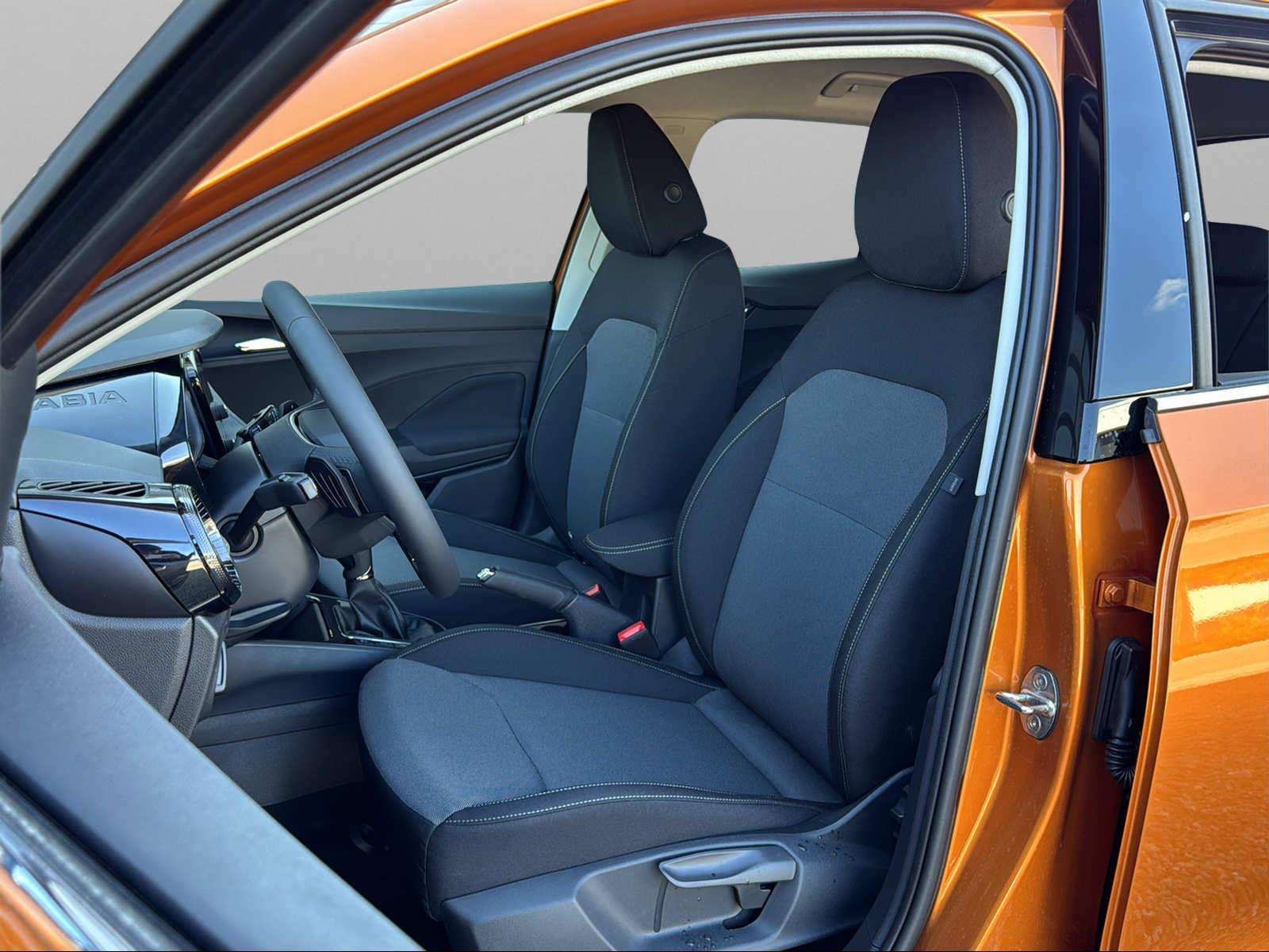 Fahrzeugbild eines Skoda Fabia