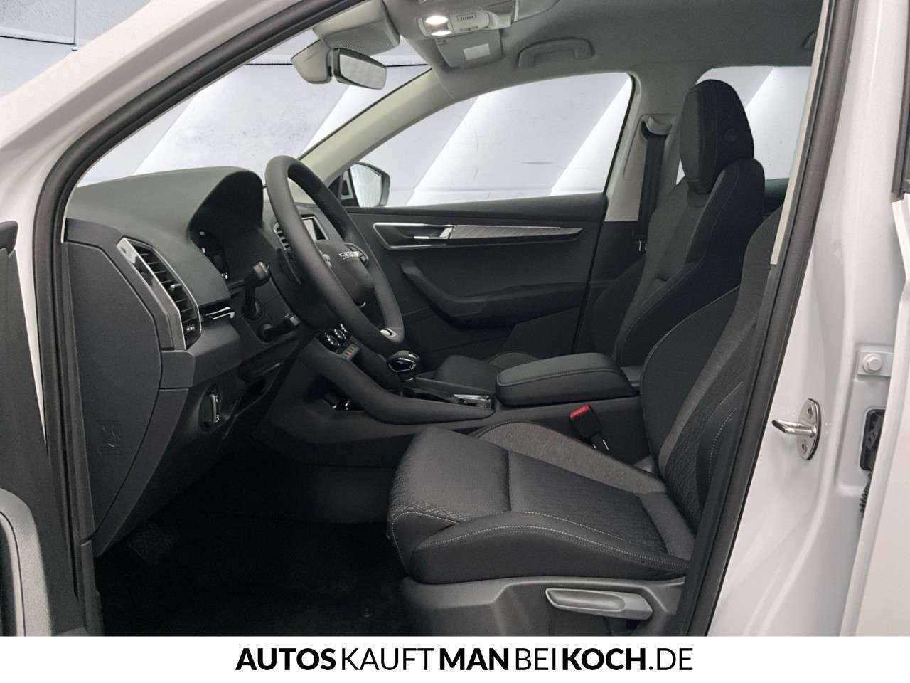 Fahrzeugbild eines Skoda Karoq
