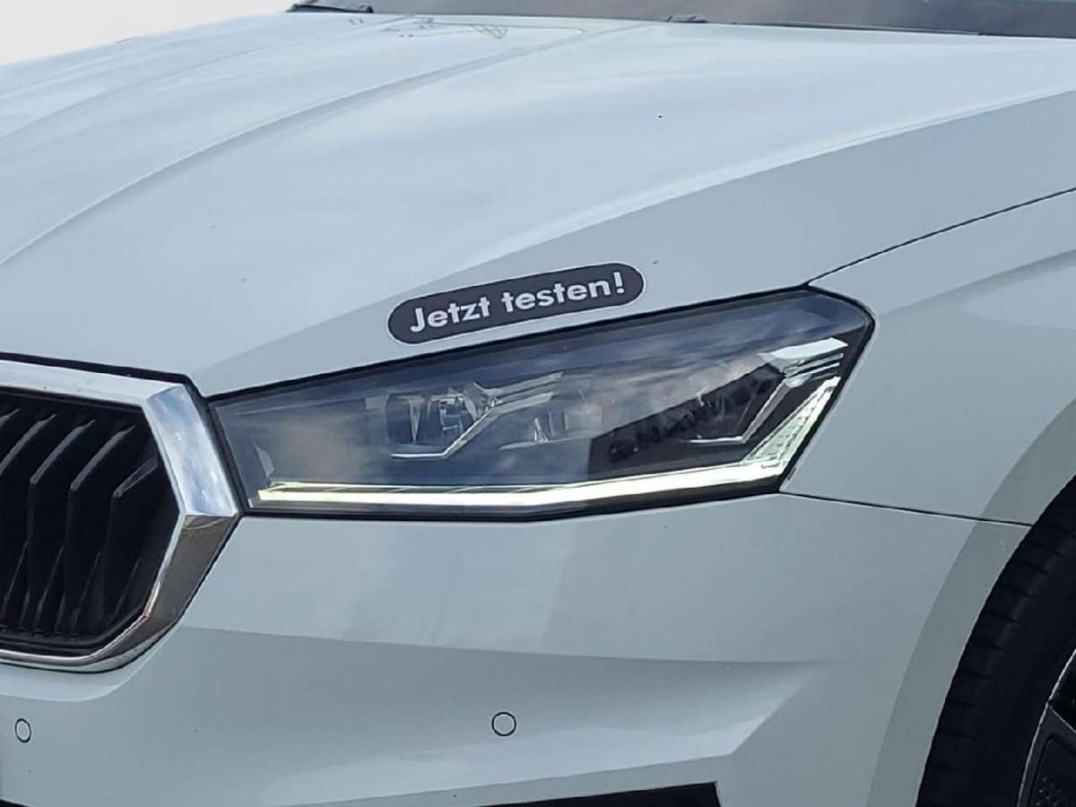 Fahrzeugbild eines Skoda Fabia