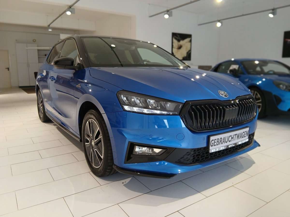 Fahrzeugbild eines Skoda Fabia