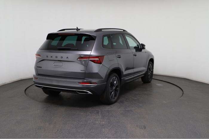 Fahrzeugbild eines Skoda Karoq