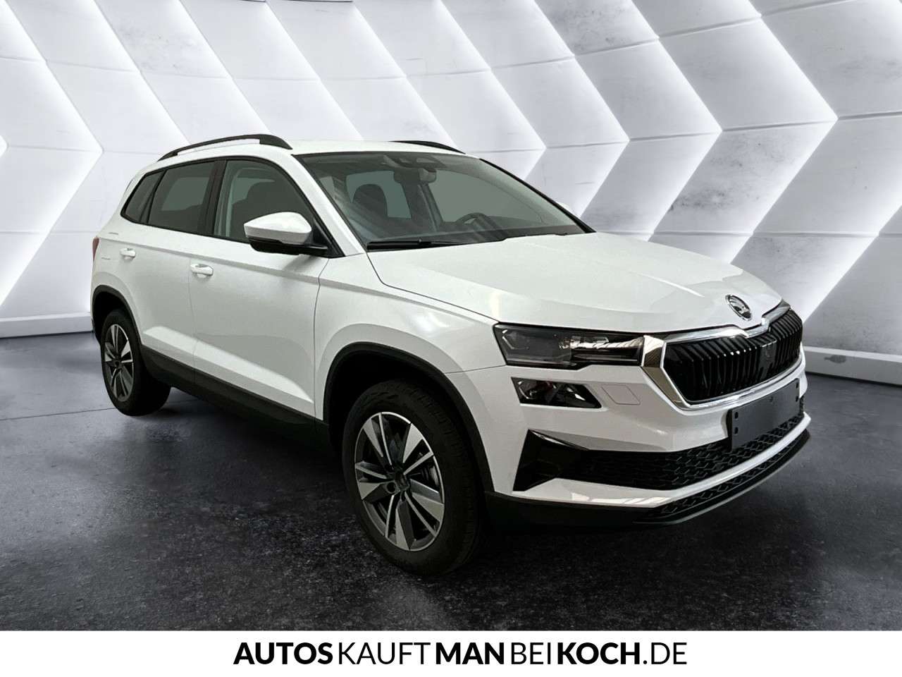 Fahrzeugbild eines Skoda Karoq