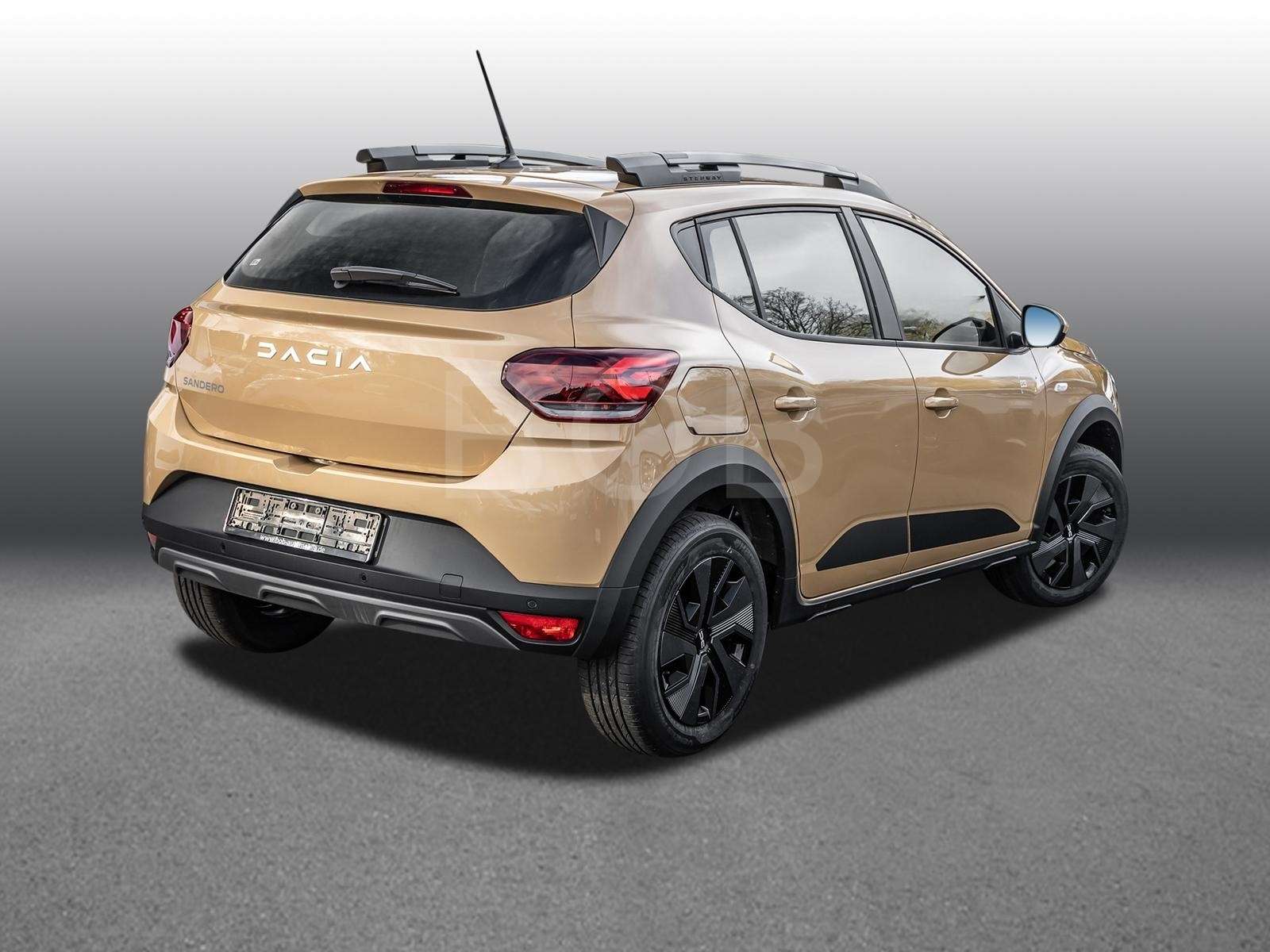 Fahrzeugbild eines Dacia Sandero