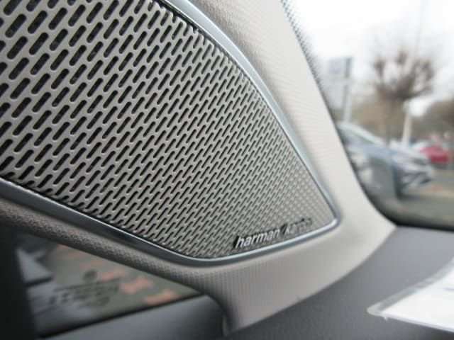 Fahrzeugbild eines Volkswagen Golf