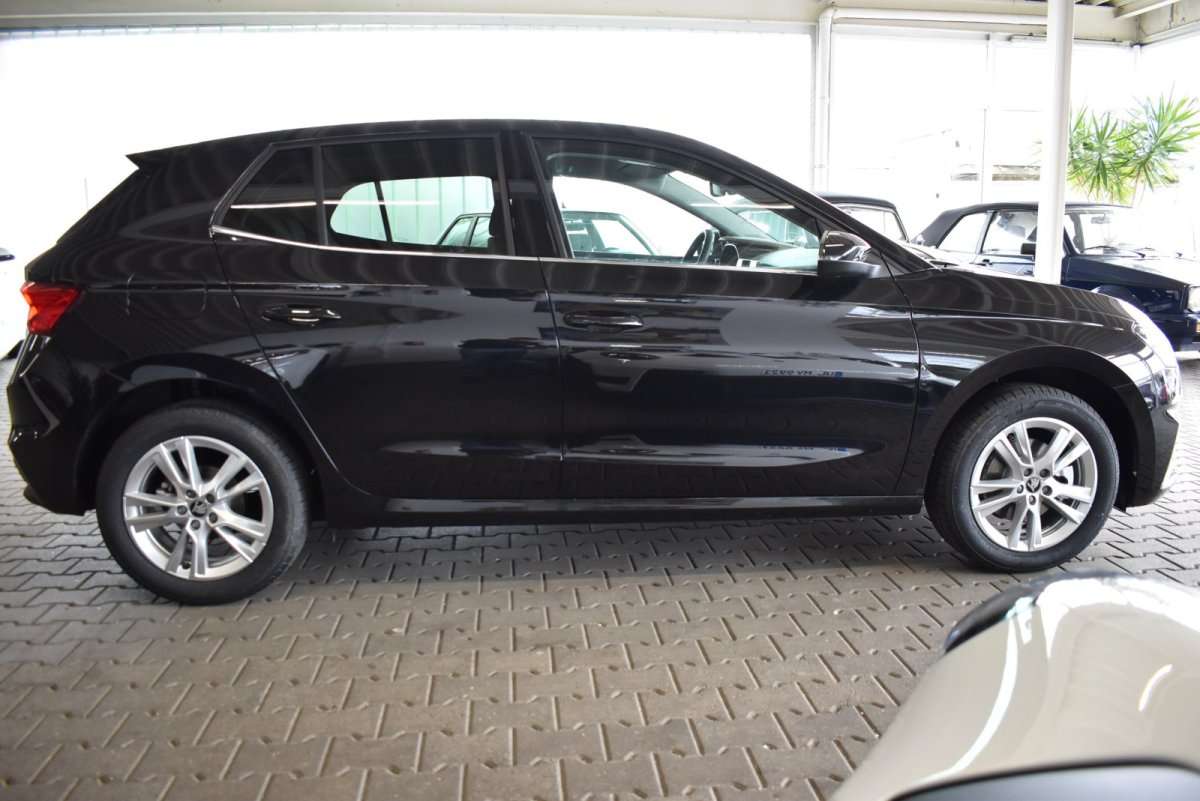 Fahrzeugbild eines Skoda Fabia