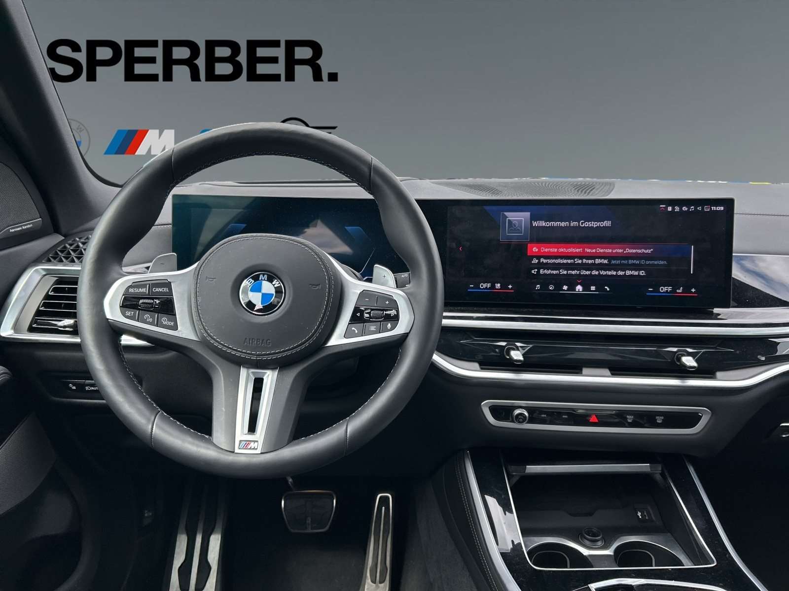 Fahrzeugbild eines BMW X5