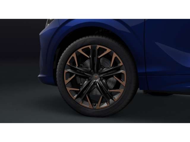 Fahrzeugbild eines CUPRA Terramar