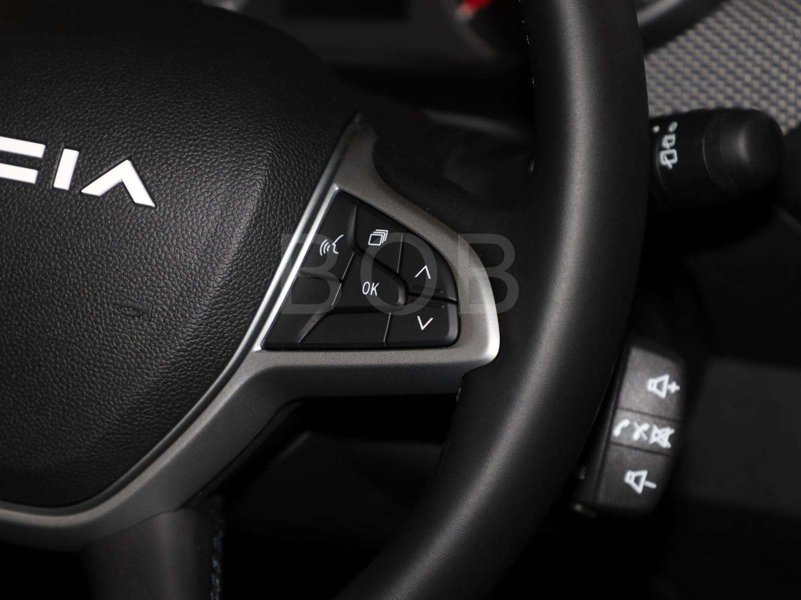 Fahrzeugbild eines Dacia Sandero