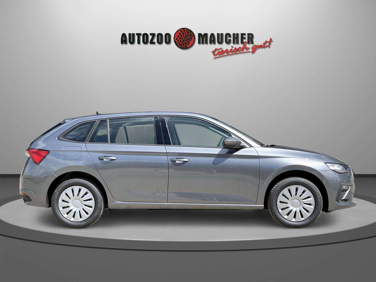 Fahrzeugbild eines Skoda Scala