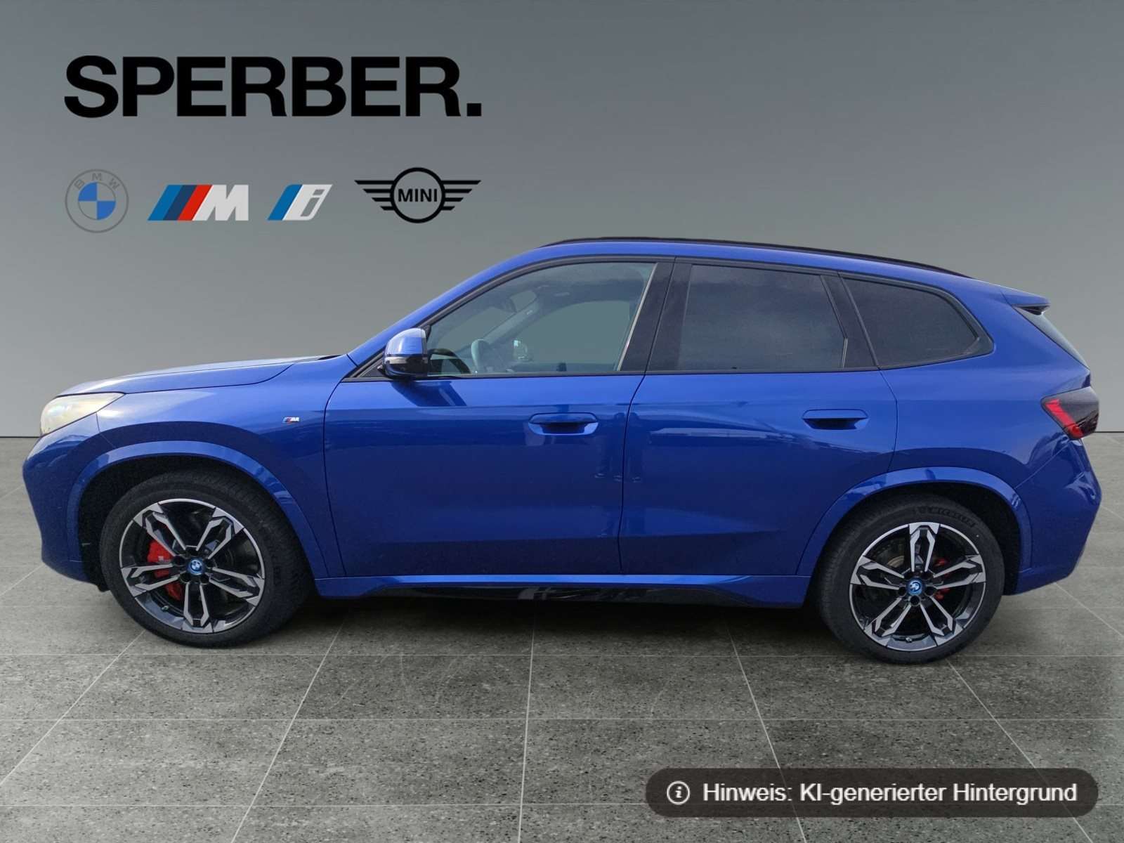 Fahrzeugbild eines BMW iX1