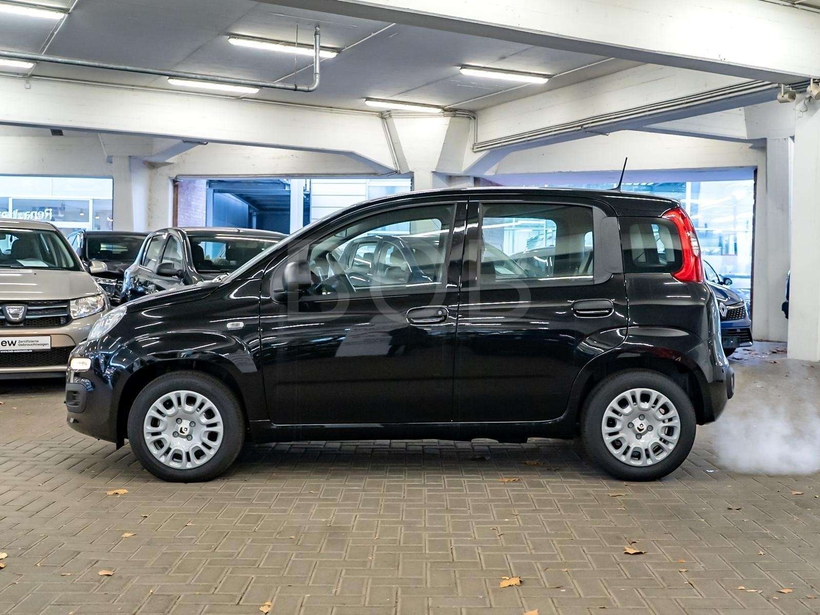 Fahrzeugbild eines Fiat Panda