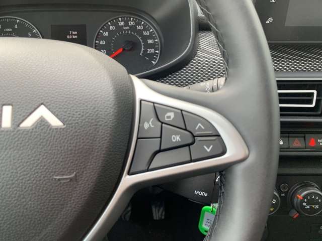 Fahrzeugbild eines Dacia Jogger