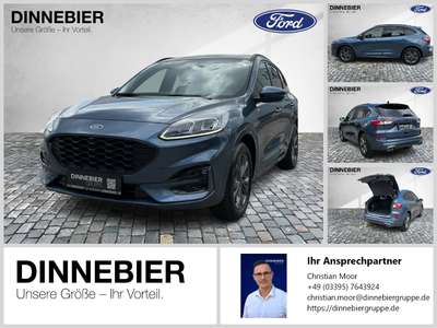 Bild Ford Kuga