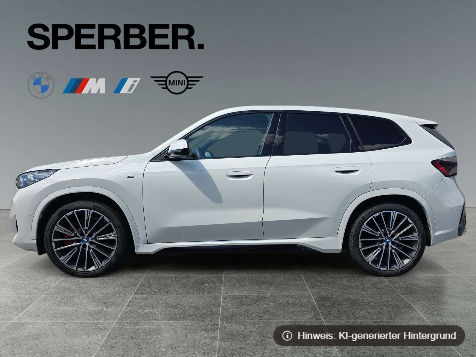 Fahrzeugbild eines BMW iX1