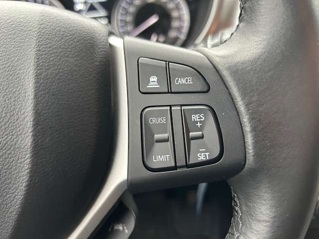 Fahrzeugbild eines Suzuki Vitara