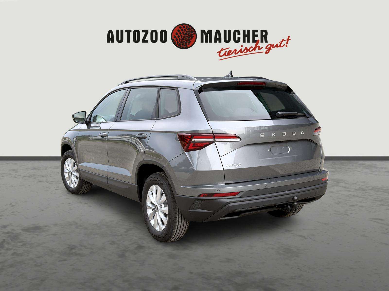 Fahrzeugbild eines Skoda Karoq