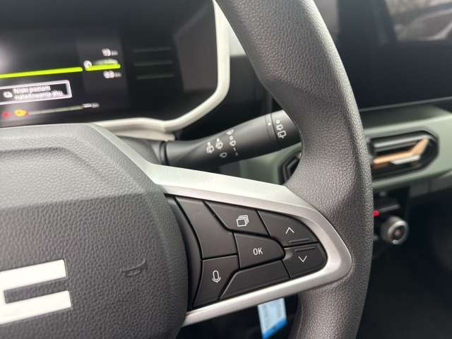 Fahrzeugbild eines Dacia Spring