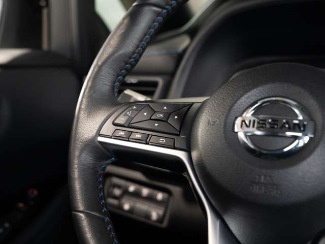 Fahrzeugbild eines Nissan Leaf