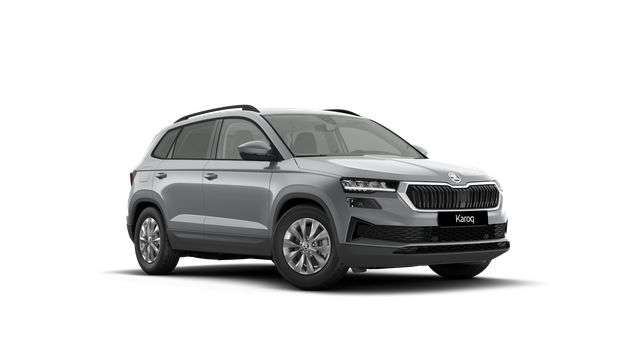 Fahrzeugbild eines Skoda Karoq
