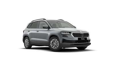 Bild Skoda Karoq