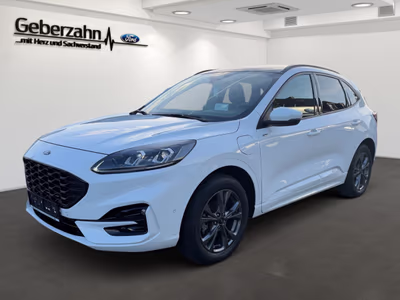Bild Ford Kuga