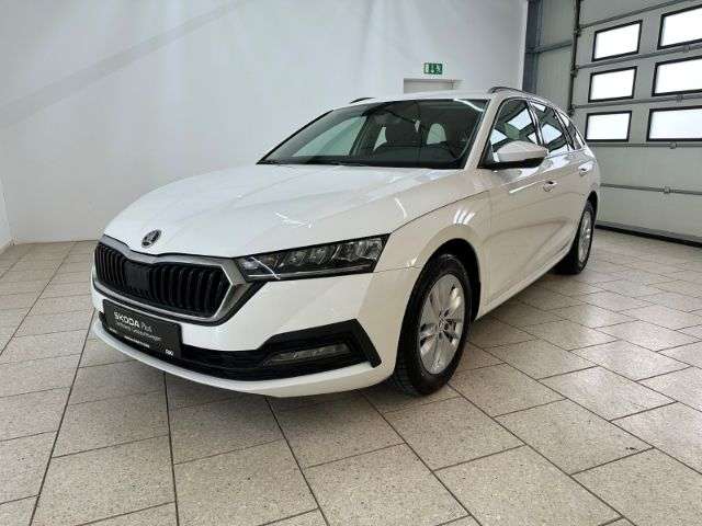 Fahrzeugbild eines Skoda Octavia