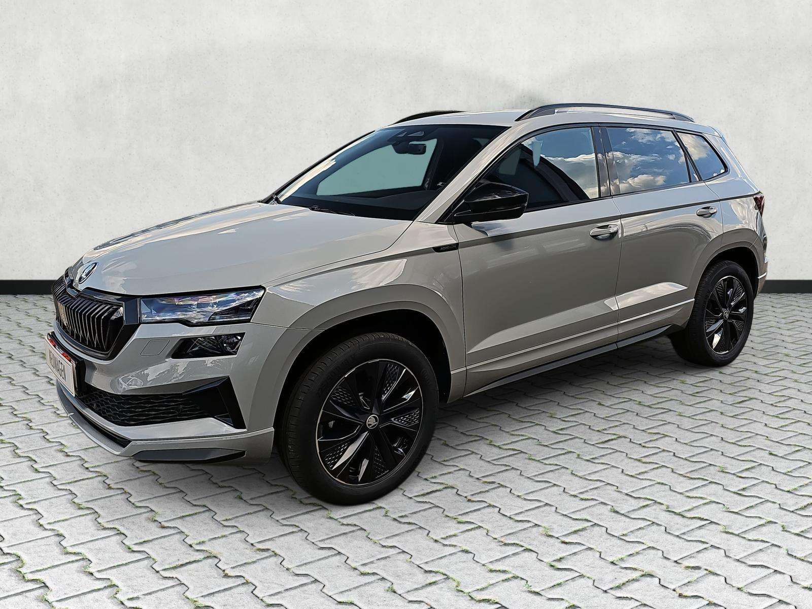 Fahrzeugbild eines Skoda Karoq