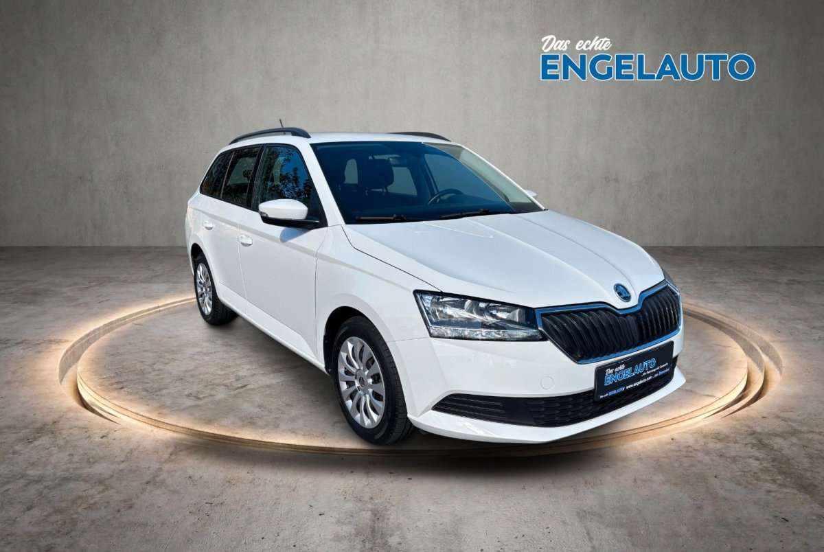Fahrzeugbild eines Skoda Fabia
