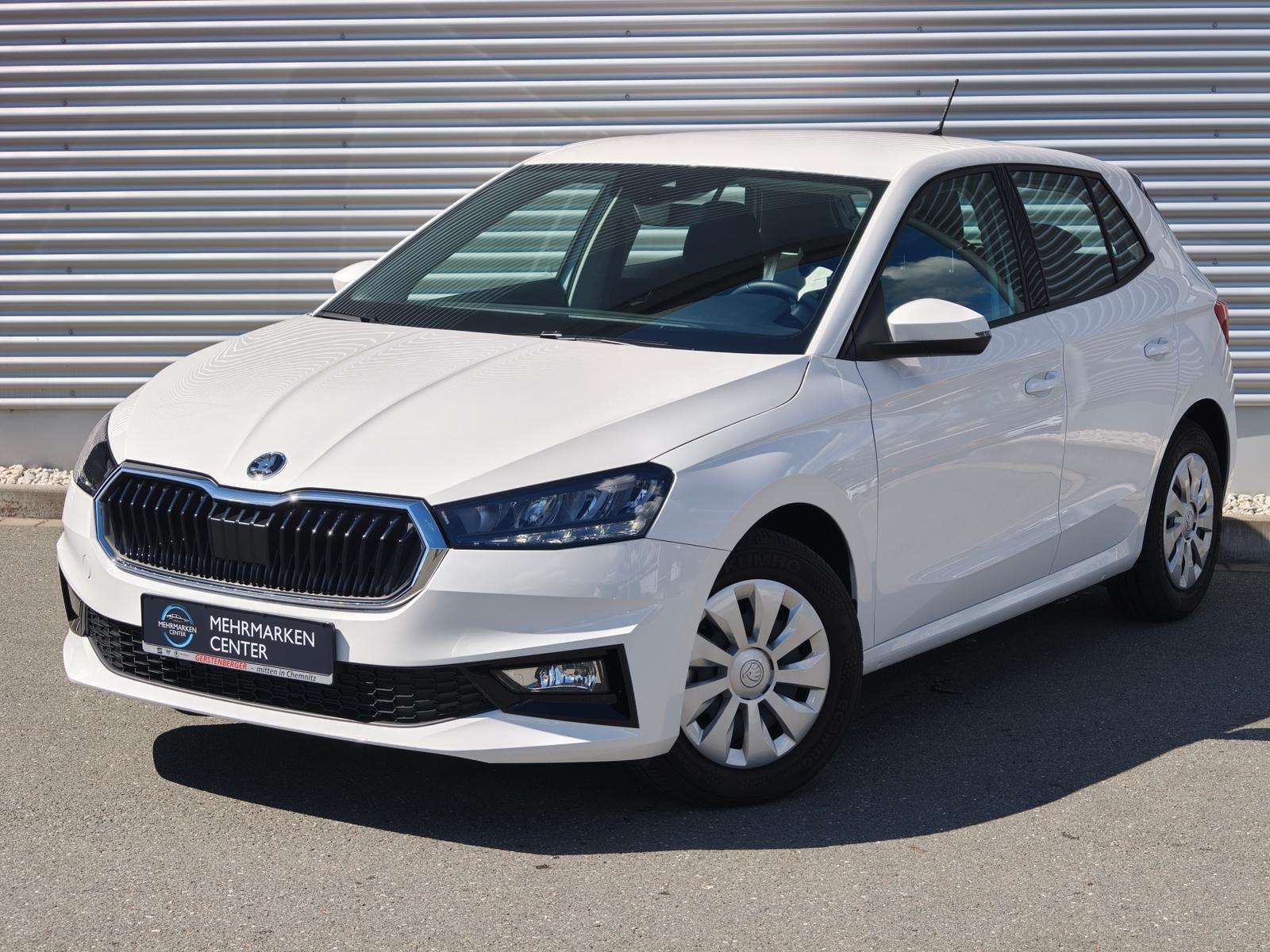 Fahrzeugbild eines Skoda Fabia