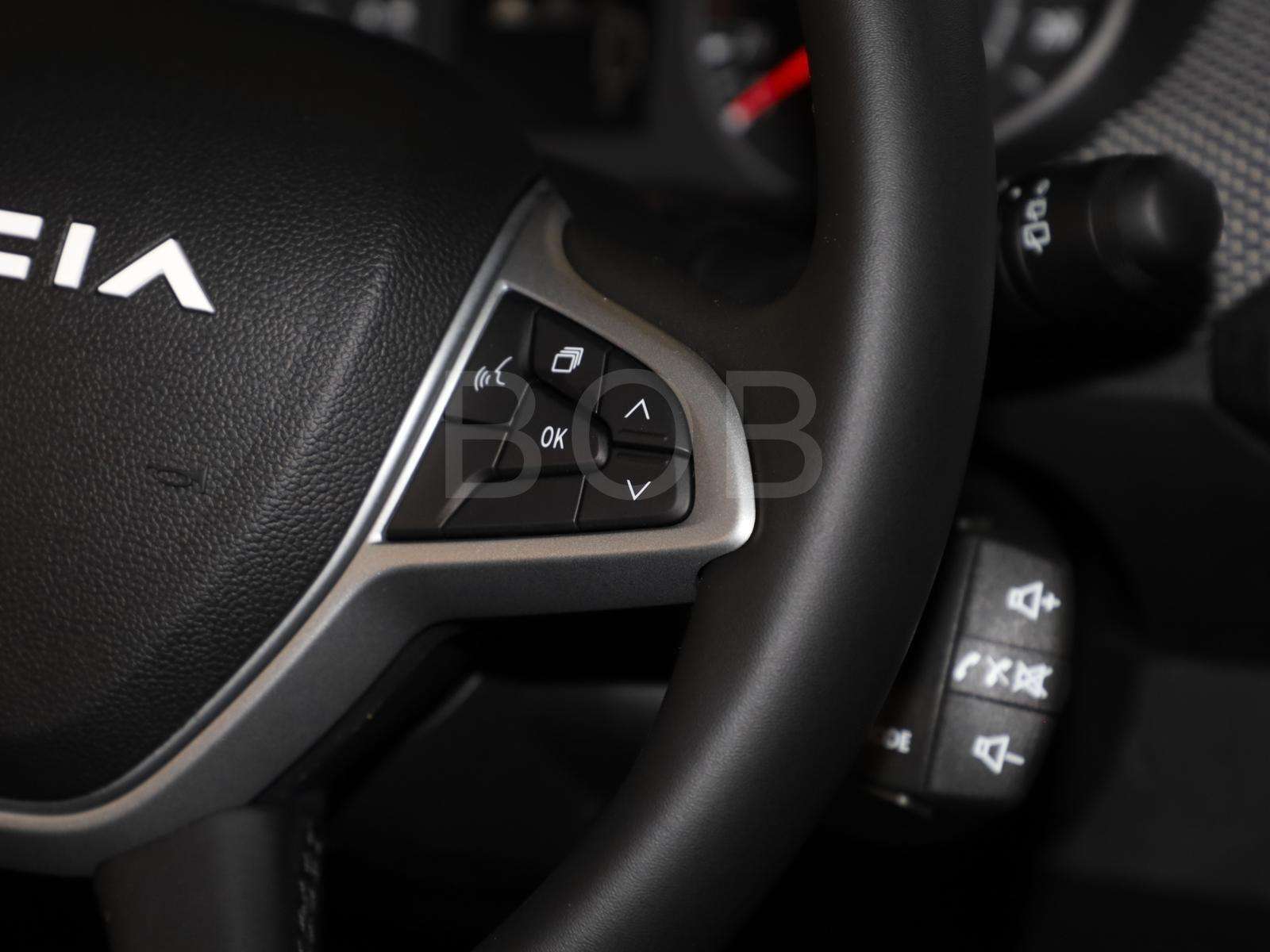 Fahrzeugbild eines Dacia Sandero