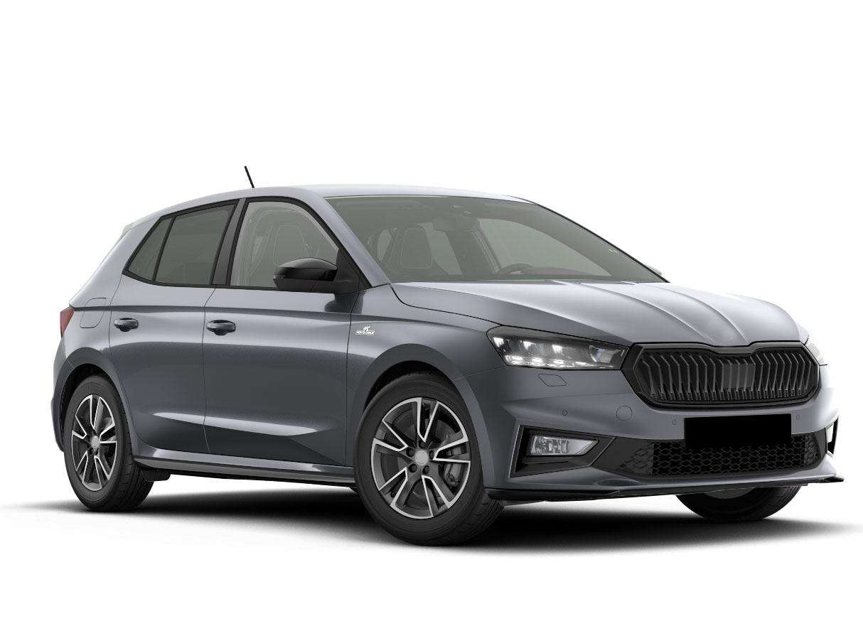 Fahrzeugbild eines Skoda Fabia