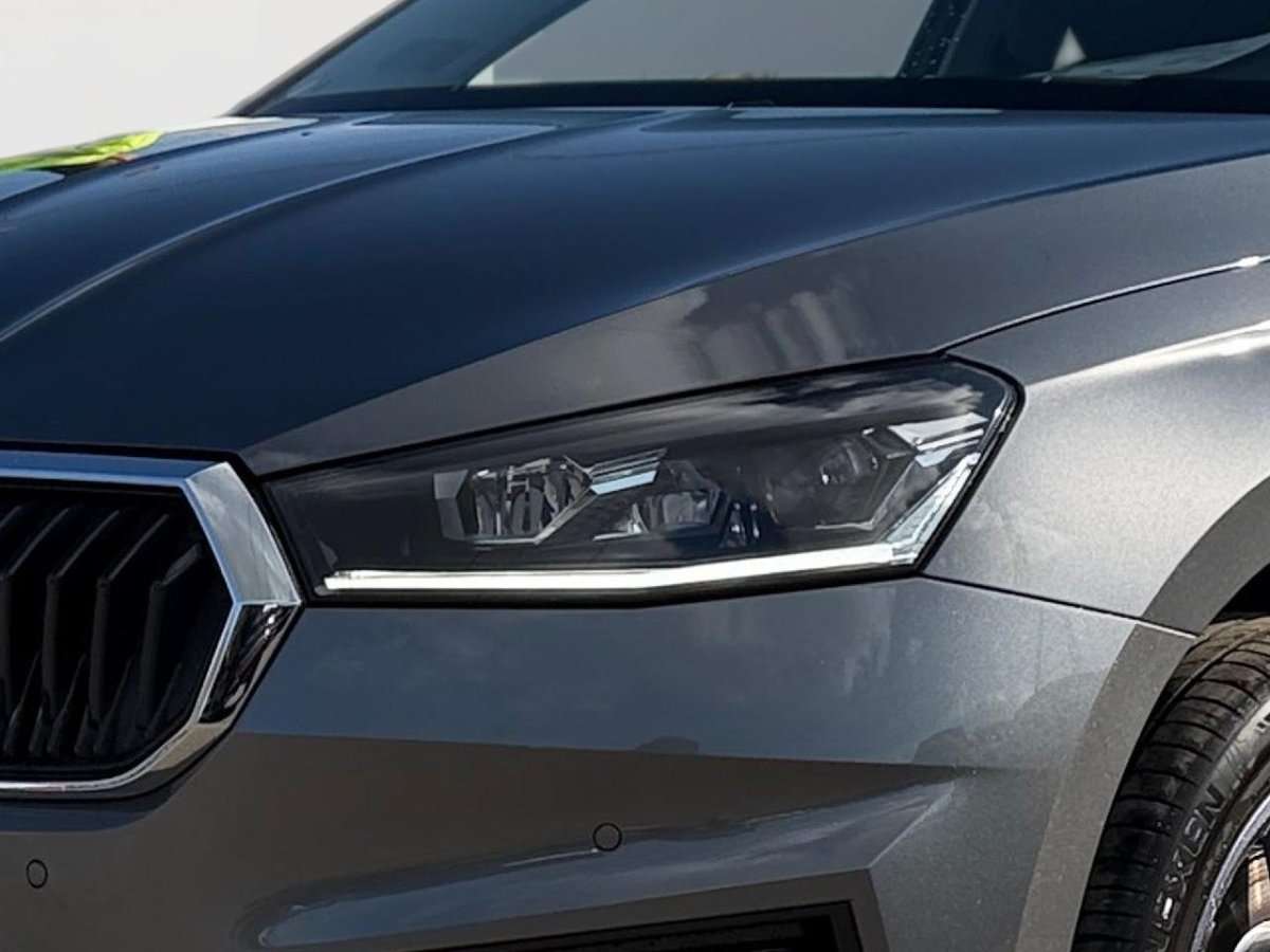 Fahrzeugbild eines Skoda Fabia