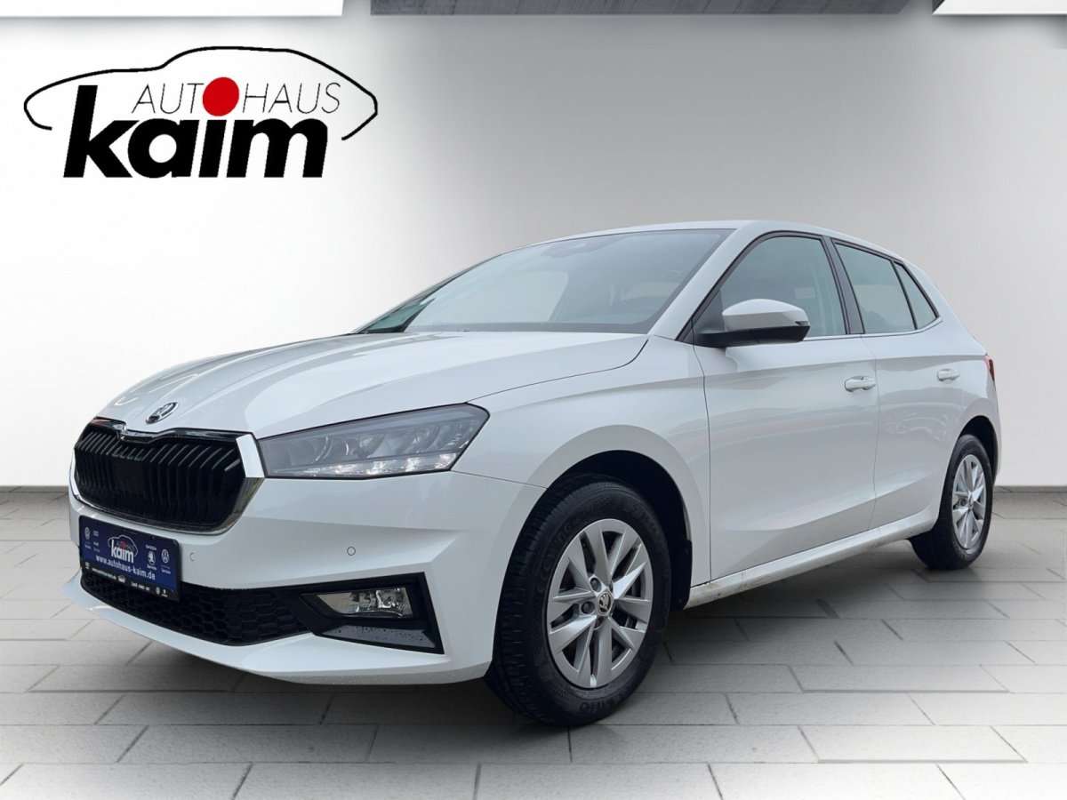 Fahrzeugbild eines Skoda Fabia
