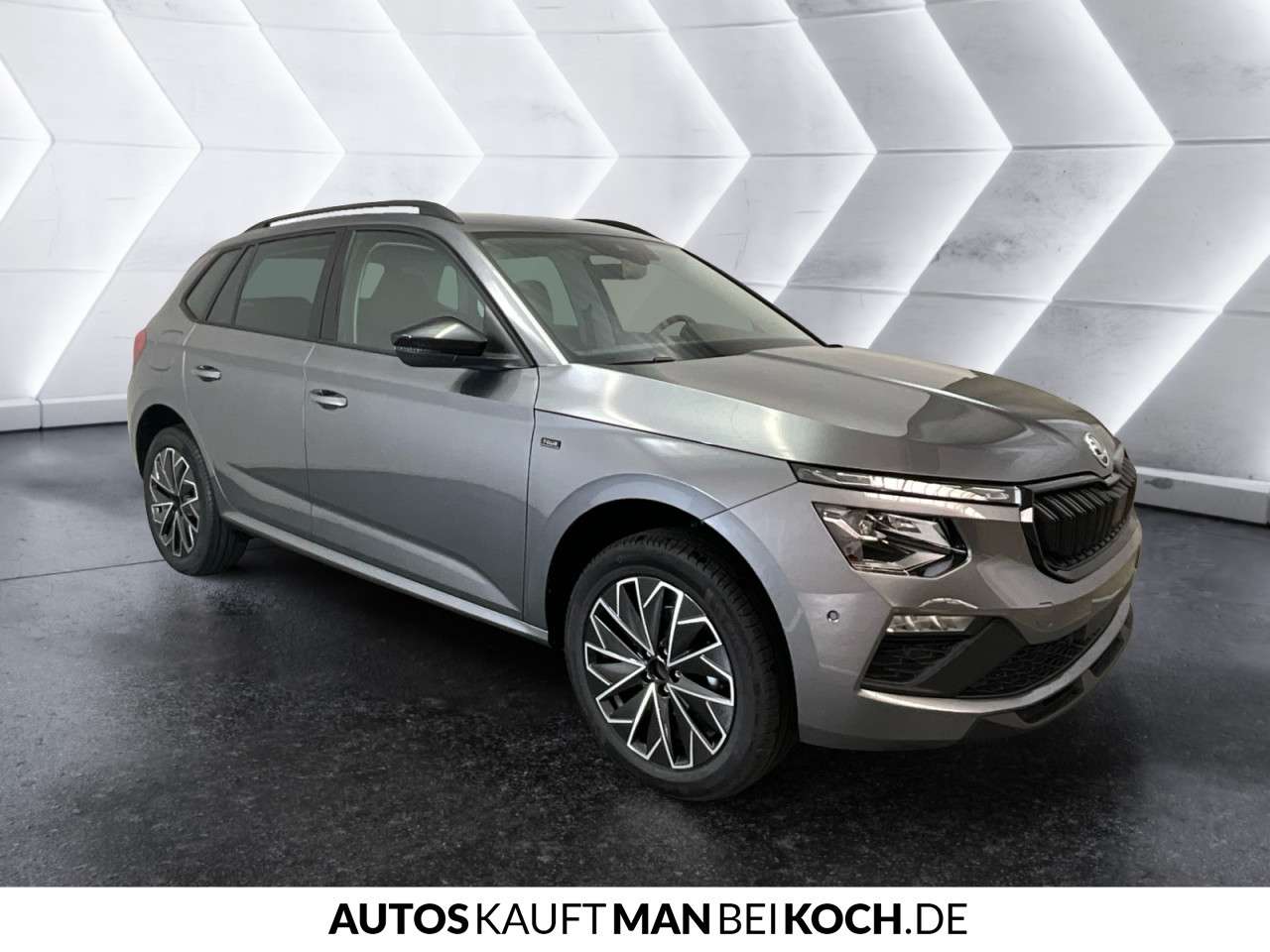 Fahrzeugbild eines Skoda Kamiq