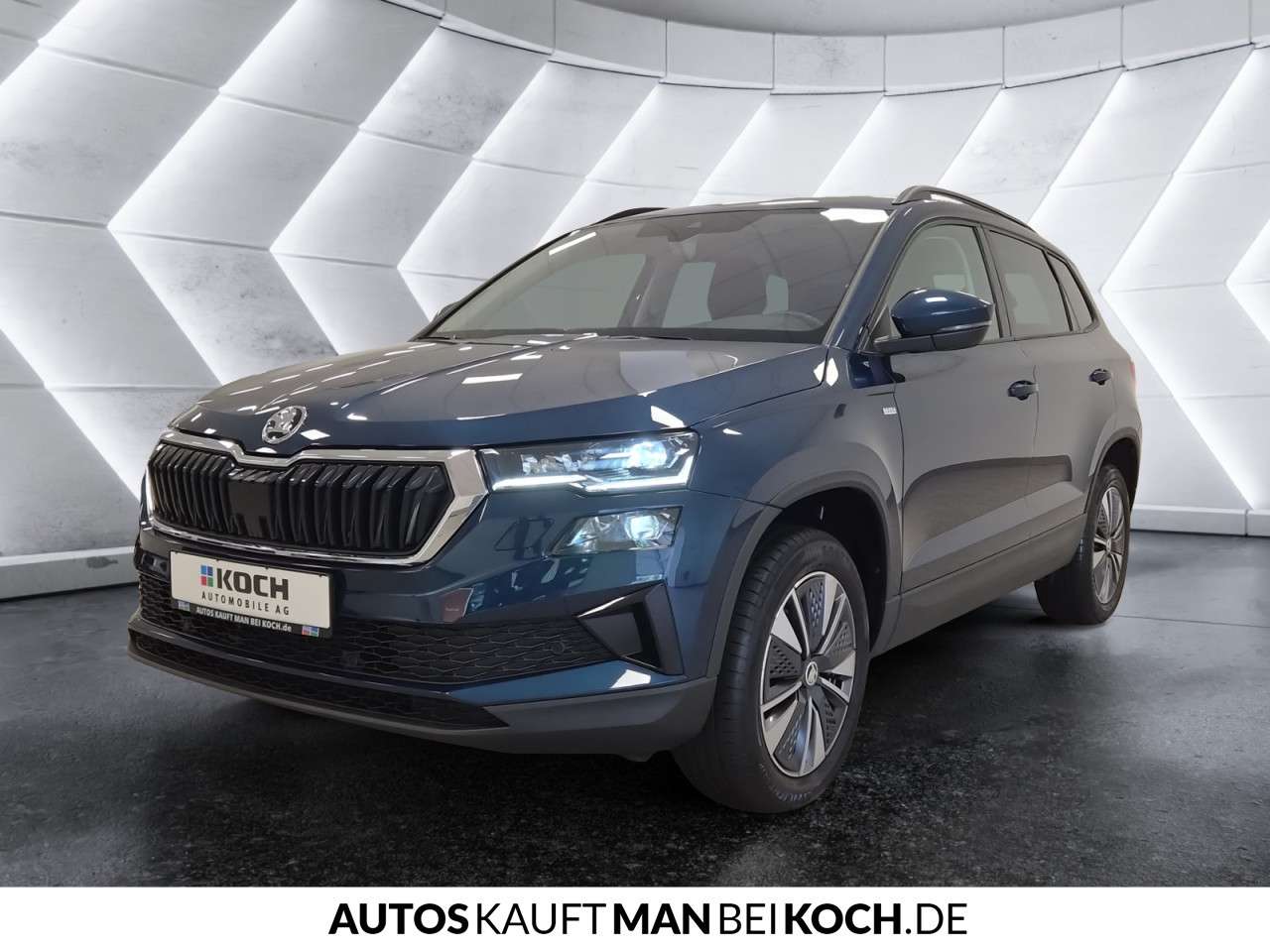 Fahrzeugbild eines Skoda Karoq