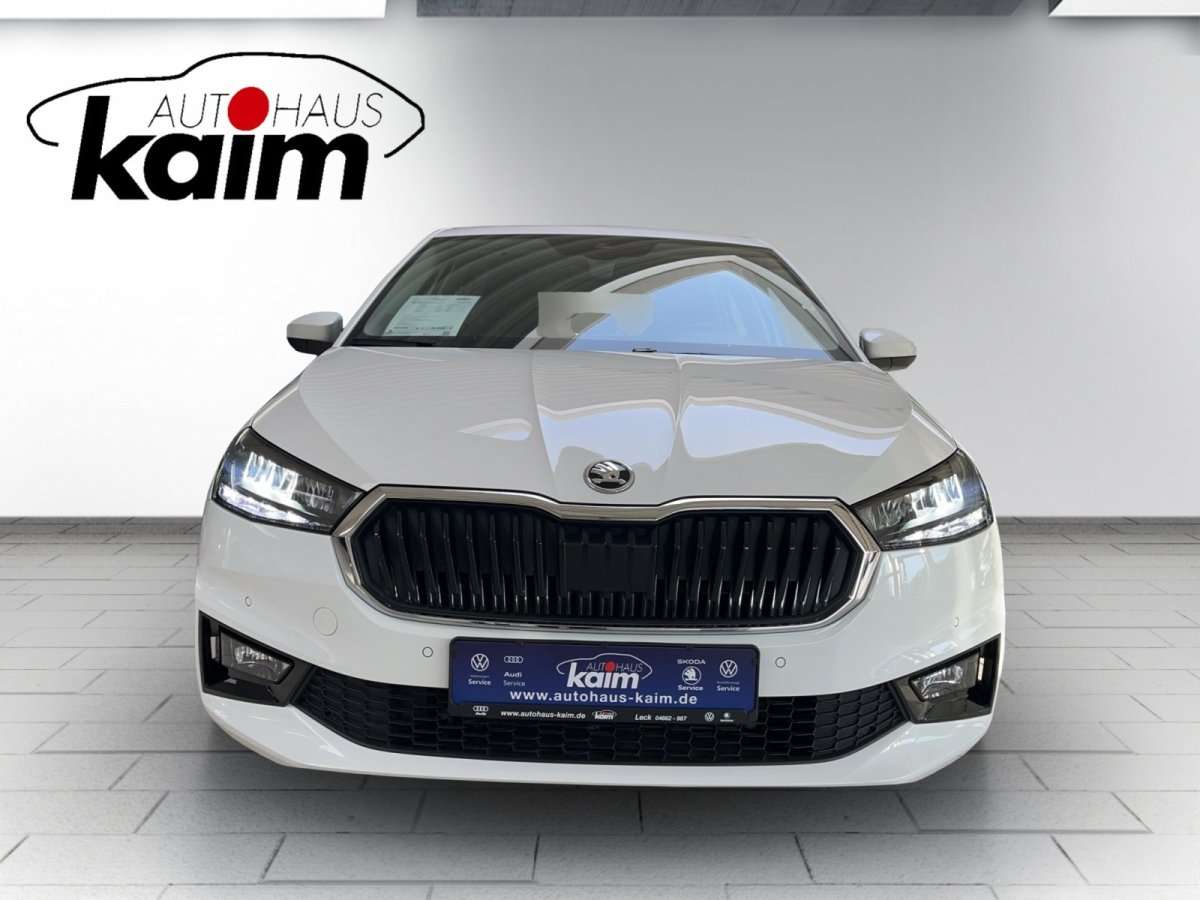 Fahrzeugbild eines Skoda Fabia