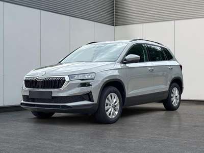 Bild Skoda Karoq