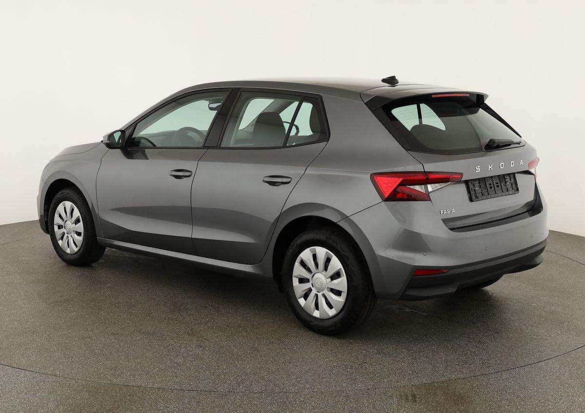 Fahrzeugbild eines Skoda Fabia