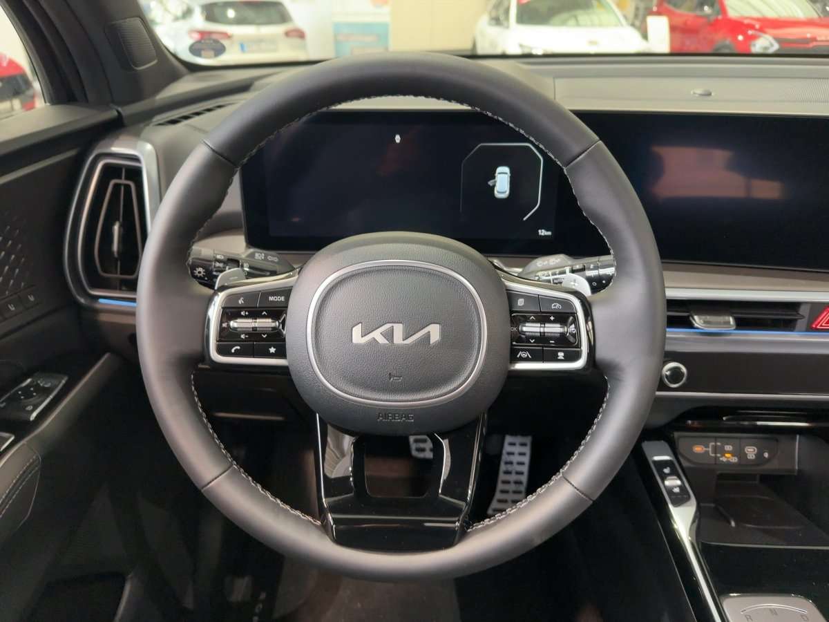 Fahrzeugbild eines Kia Sorento